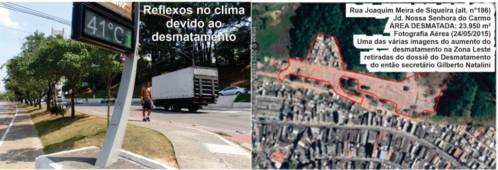 sustentabilidade