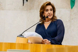 Vereadora eleita dra Sandra Tadeu