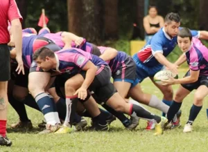 rugby
