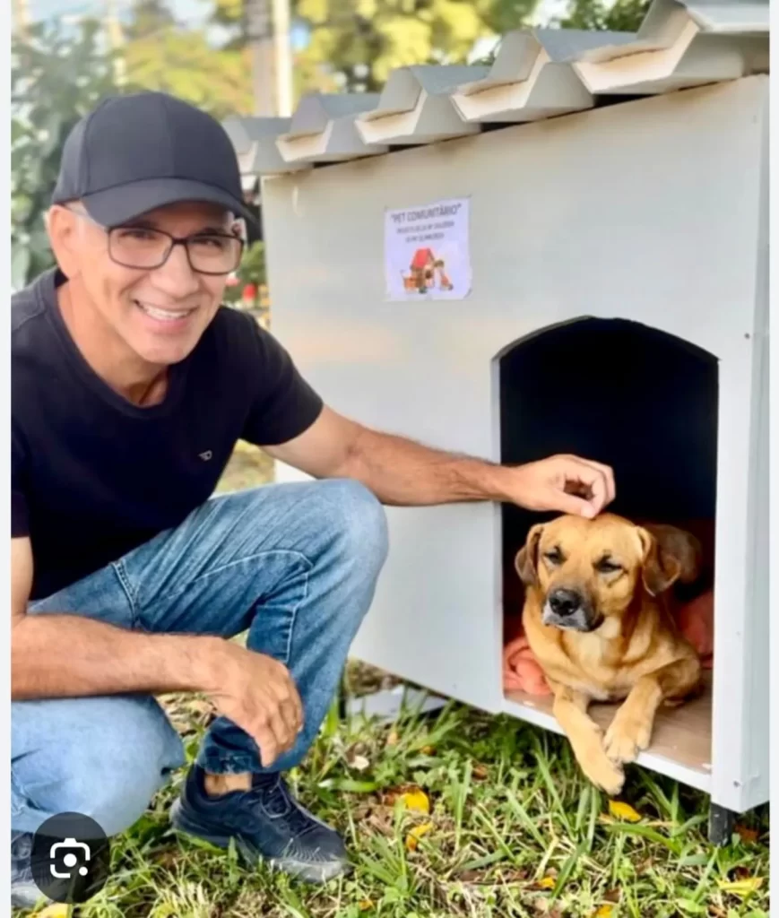 lei para cães de rua