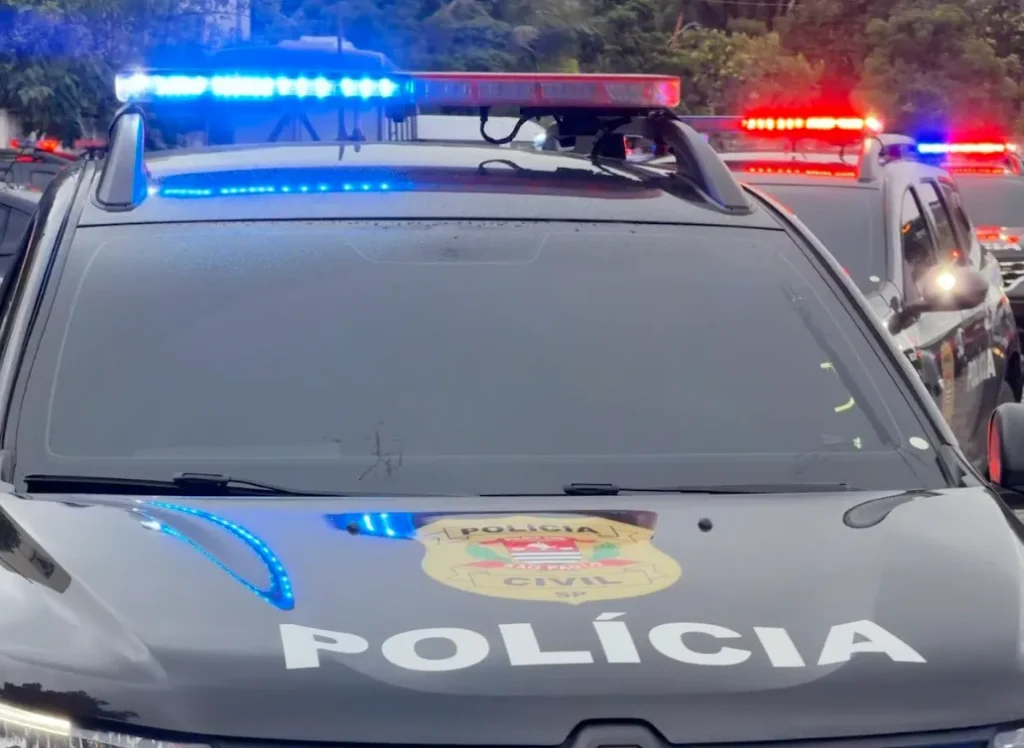 organização criminosa