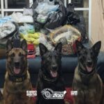 Ação policial em Carapicuíba retira mais de 51 quilos de entorpecentes das ruas