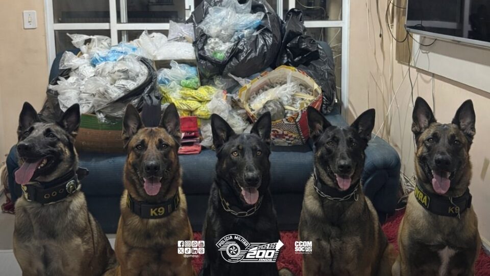 ções de entorpecentes prontas para comercialização. Na tarde do dia (19), polici