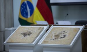 © Joédson Alves/Agência Brasil