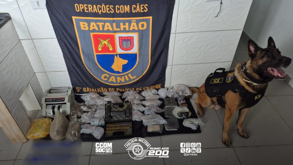 ções de cocaína, totalizando cerca de 5,4 quilos de drogas. Além dos entorpecent