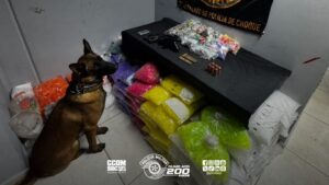 tante apreensão de drogas e munições durante operação de combate ao tráfico de d