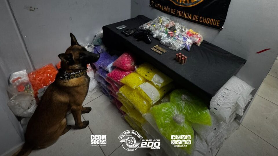 tante apreensão de drogas e munições durante operação de combate ao tráfico de d