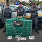 Polícia Rodoviária e FICCO interceptam 257 kg de cocaína e fuzil em ação na Rodovia Castelo Branco