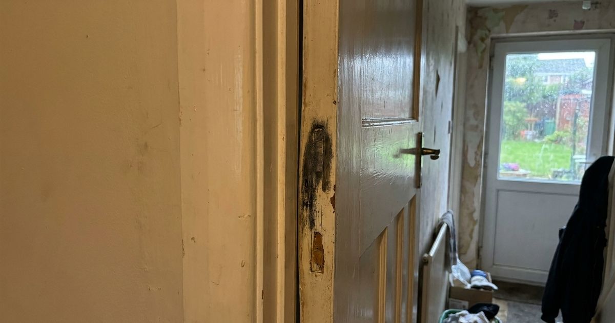 Porta de madeira inchada: como resolver o travamento e prevenir a umidade
