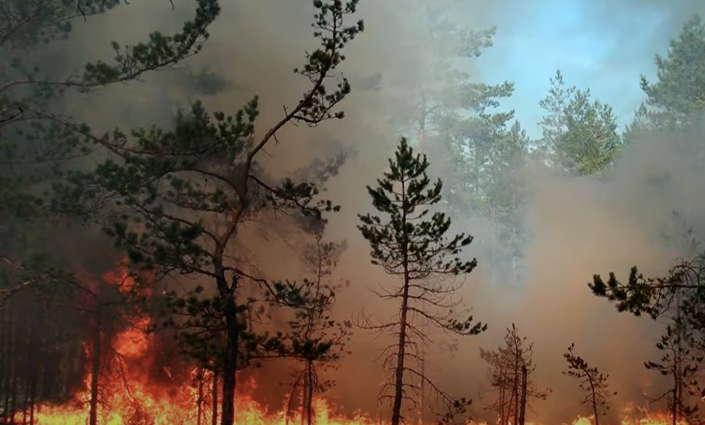 resíduos e deriva de agrotóxicos; Outros fatores de perturbação ambiental. Em me