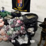 Cão Gládios da PM encontra 300 quilos de drogas em comunidade da Zona Sul paulistana