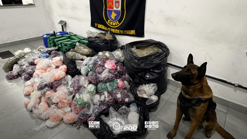 organizações criminosas ligadas ao tráfico de drogas. Ao todo, a ação resultou n