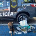 Canil da PM apreende mais de 5 quilos de drogas em área de mata de Ferraz de Vasconcelos