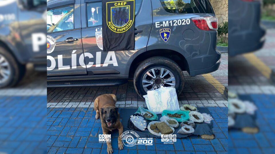 ém nenhum outro material ilícito foi localizado. A ocorrência foi apresentada na