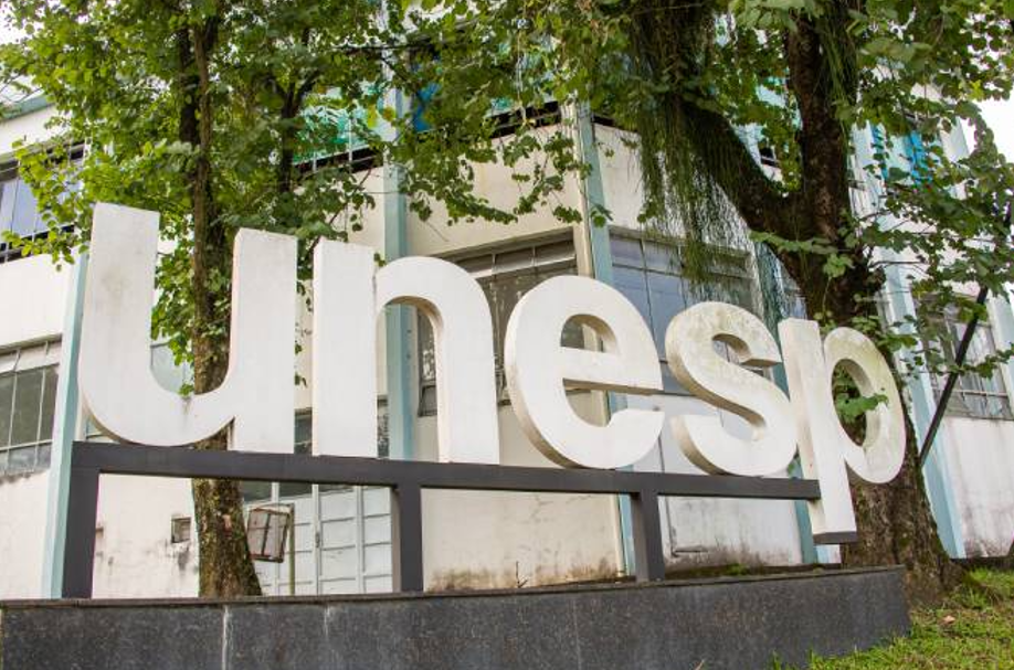 unanimidade a política de reserva de vagas para pessoas pretas, pardas e indígen