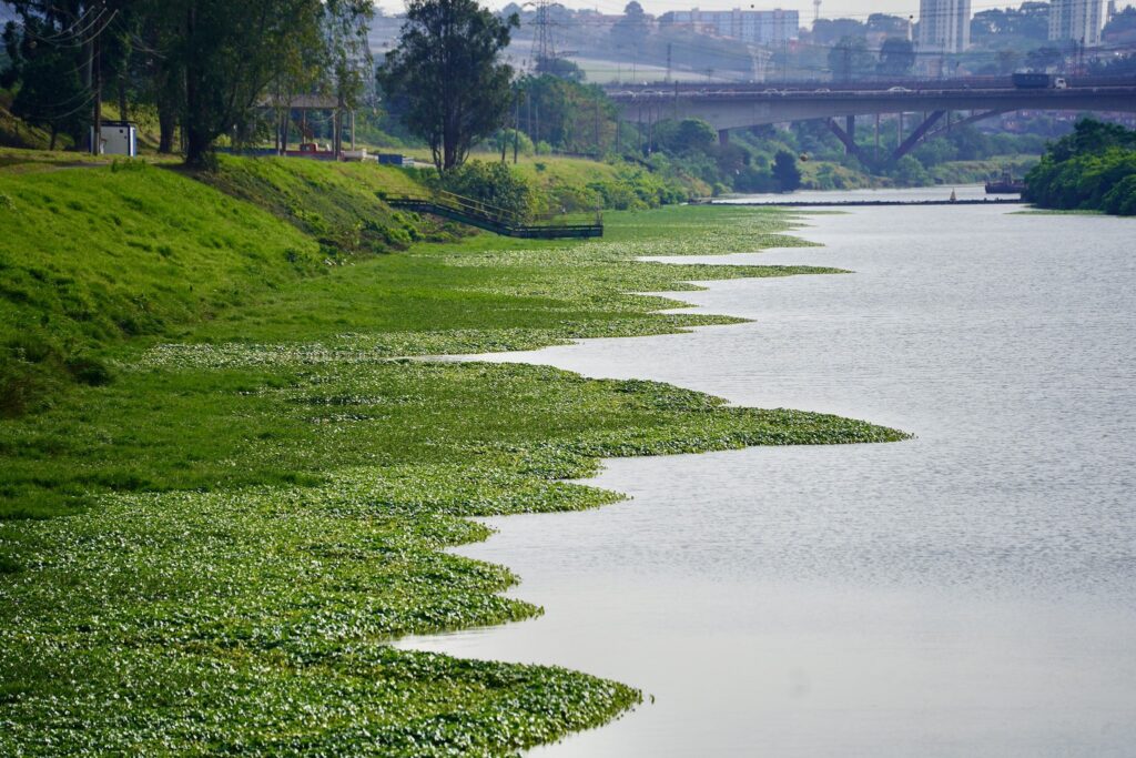 Concentração de poluentes monitorada no Pinheiros caiu 55% na calha da Barragem de Pedreira (foto), 29% na Ponte do Socorro e 26% na Usina São Paulo nos cinco primeiros meses do pe