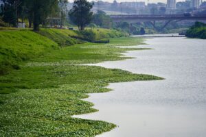 Concentração de poluentes monitorada no Pinheiros caiu 55% na calha da Barragem de Pedreira (foto), 29% na Ponte do Socorro e 26% na Usina São Paulo nos cinco primeiros meses do pe
