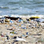 São Paulo apresenta plano decenal para enfrentar poluição por lixo no mar