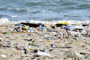 resíduos sólidos nos ambientes costeiros e marinhos em um horizonte de 10 anos