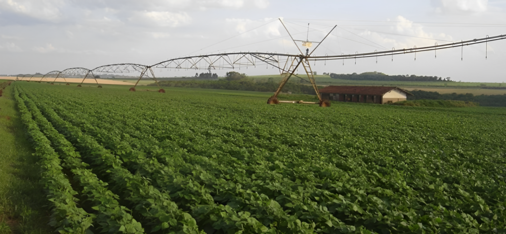 FAPESP prevê disponibilidade hídrica de mananciais para apoiar decisões em cenários de chuvas irregulares (Imagem: divulgação/Spectrum)