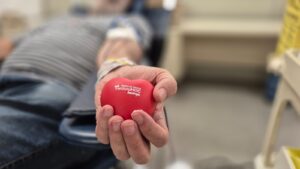 As bolsas de sangue são essenciais para abastecer hospitais, prontos-socorros, maternidades e centros oncológicos Foto: Divulgação/Governo de SP