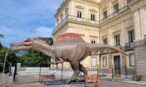 © Museu Nacional/Divulgação