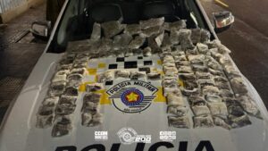 tava skunk e maconha para o Rio de Janeiro e receberia R$ 4 mil pelo transporte