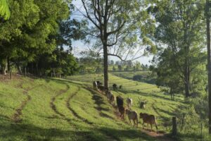 com-kacau-oliveira/3435453" target="_blank">Sympla