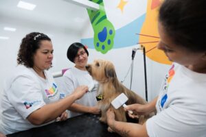 tunidade. Nesta etapa, as unidades móveis do programa estão distribuídas em 18 C