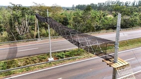 Foto: Divulgação/Governo de SP
