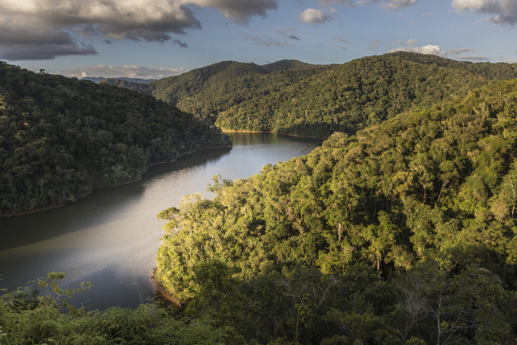 corredores ecológicos. Esses registros incluem espécies altamente sensíveis à fr
