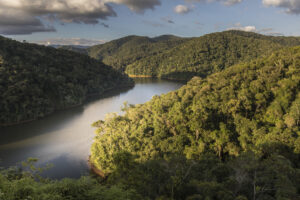 corredores ecológicos. Esses registros incluem espécies altamente sensíveis à fr