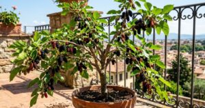 A escolha do vaso correto e a boa exposição ao sol garantem frutos doces e o desenvolvimento saudável da planta. – Imagem gerada por IA
