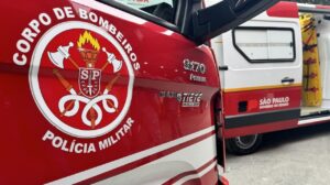 11 bombeiros militares, um agente da Defesa Civil do Estado, dois médicos milita