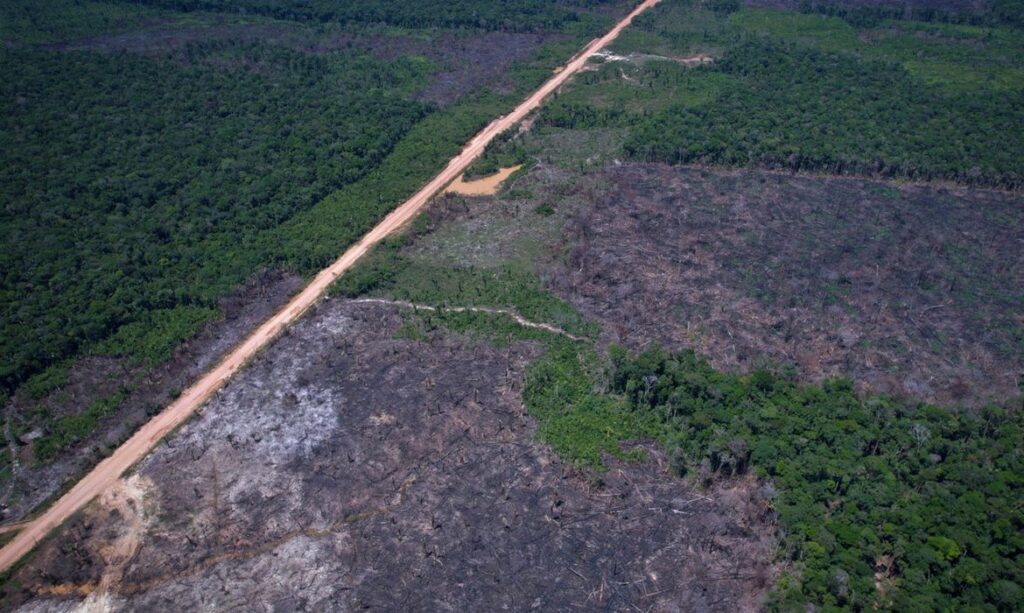 Amazônia registra menor desmatamento em 8 anos, em meio a tensões comerciais com os EUA