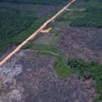Amazônia registra menor desmatamento em 8 anos, em meio a tensões comerciais com os EUA