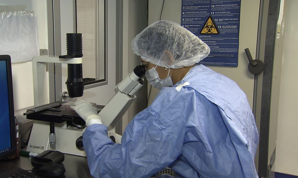 Avanços na ciência: novos casos de remissão do HIV após transplante de células-tronco
