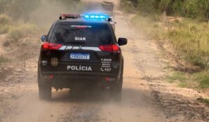 tar os animais furtados. A quadrilha atuava durante a madrugada, conhecia a roti