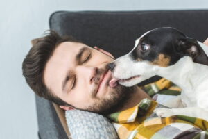 contato direto com cães infectados através de lambidas, mordidas ou secreções co