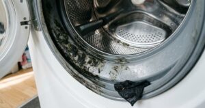 O uso de vinagre branco é uma solução eficiente e sustentável para manter seu eletrodoméstico higienizado. – Imagem gerada por IA