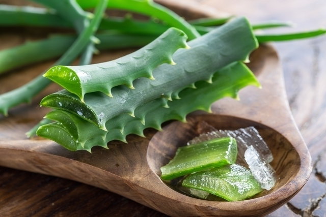 exemplo. Também conhecida como aloe vera, a babosa possui ação antioxidante, ant
