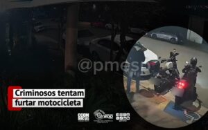 tal de Notícias da PMESP