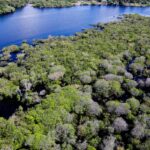 Desmatamento na Amazônia recua 35% em junho de 2026 e atinge mínima histórica em 20 anos