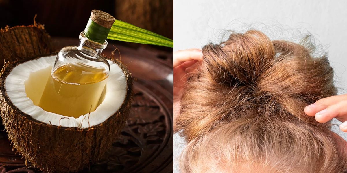 descubra o segredo para eliminar o frizz dos cabelos