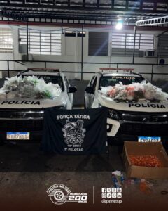 equipes de Força Tática do 46º Batalhão de Polícia Militar do Interior (BPM/I) a
