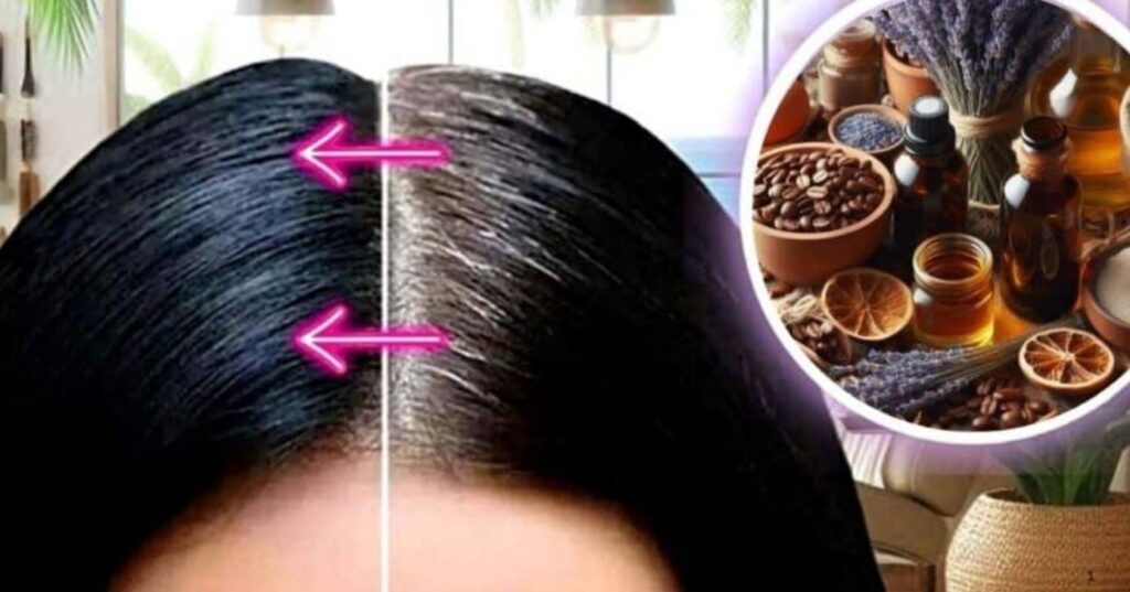 Tônico de chá preto: Veja método que ajuda a escurecer o cabelo grisalho sem química