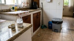 Bicarbonato de sódio e orégano: o truque caseiro que promete neutralizar odores e afastar insetos