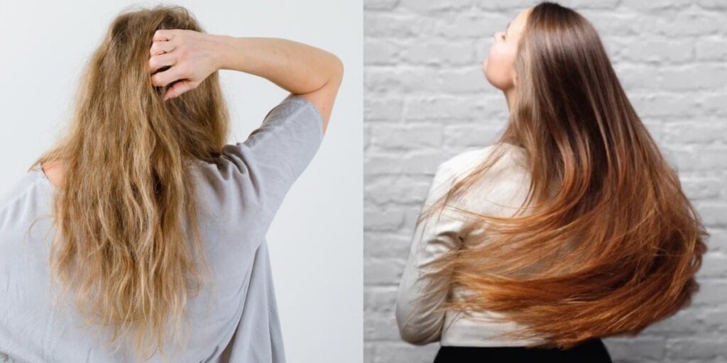 Óleo de coco e argan: como usar esses aliados para eliminar o frizz e recuperar o brilho