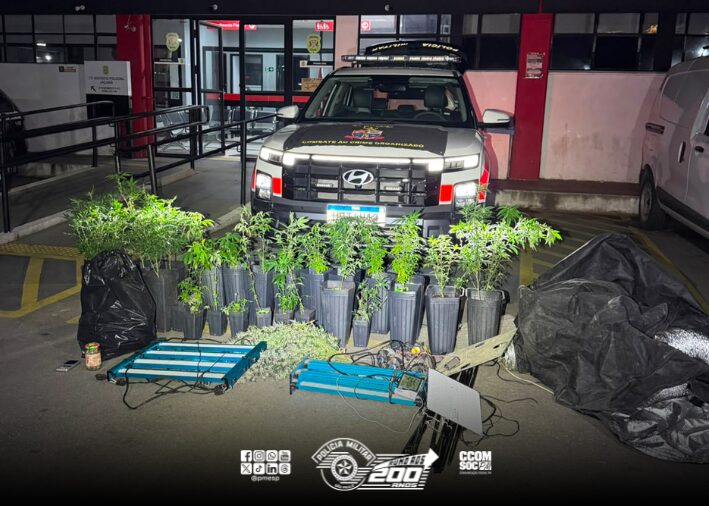 Polícia Militar desmantela estrutura de cultivo de maconha na zona norte de São Paulo