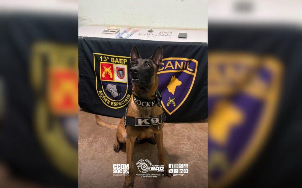 Ação do 13º BAEP resulta em prisão por tráfico de drogas em Bocaina
